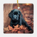 Search for black labrador memorial gifts Cute
