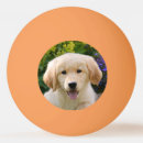 Search for pet dog ping pong balls Puppy