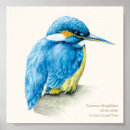 Search for kingfisher painting posters Watercolour