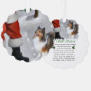 Search for shetland sheepdog christmas cards Pets