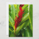 Search for nature 7x5 invitations Red