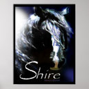 Search for shire horse posters Draught