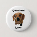 Search for doxies badges Dogs