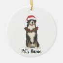 Search for bernese mountain dog christmas tree decorations Santa