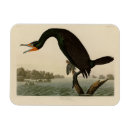 Search for double magnets Illustration