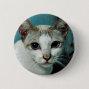 Search for pussy badges Meow