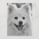 Search for spitz dog postcards Animal