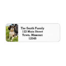 Search for spaniel return address labels Cavalier king charles