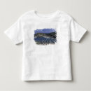 Search for tuscany tshirts Walter bibikow