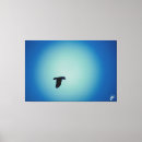 Search for spotlight art Bird
