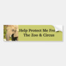 Search for elephant bumper stickers Circus