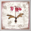 Search for amaryllis art Botanical