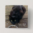 Search for feral cat badges Kitty