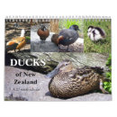 Search for new zealand calendars Nature