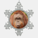 Search for orangutan christmas tree decorations Cute