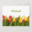 Search for holland michigan postcards Tulip
