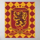 Search for snitches posters Hogwarts
