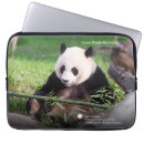 Search for panda laptop cases Photography