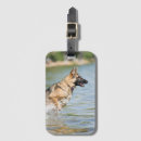 Search for german shepherd accessories Puppy
