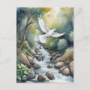 Search for streaming postcards White