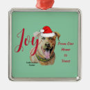 Search for staffordshire bull terrier christmas tree decorations puppy