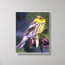 Search for bird lover canvas prints Wildlife