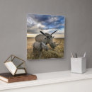 Search for rhino clocks Animal