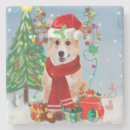 Search for dog coasters Pets