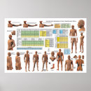 Search for acupuncture gifts Meridians