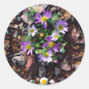 Search for cactus bloom stickers Botanical