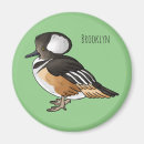 Search for hooded magnets Bird