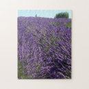 Search for lavender field puzzles Pacific northwest