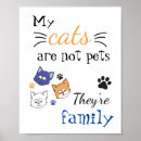 Search for kitty face posters Cartoon