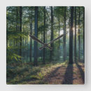 Search for beech art Woodland