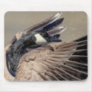 Search for canada mouse mats Wild