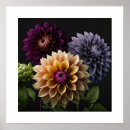 Search for dahlia flower posters Flowers