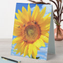Search for bee signs Sunflower