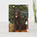 Search for shepherd christmas cards Animals