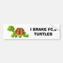 Search for tortoise bumper stickers Wildlife