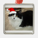 Search for black and white cat christmas tree decorations Cats