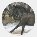 Search for mustangs stickers Wild