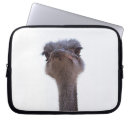 Search for ostrich electronics Cute