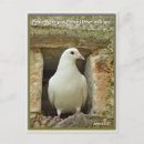 Search for white bird postcards Peace