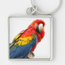 Search for scarlet key rings Green