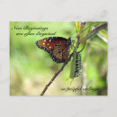 Search for beginnings postcards Encouragement
