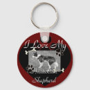 Search for anatolian accessories Pets