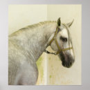 Search for gelding posters Mare
