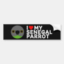 Search for love birds bumper stickers Cute