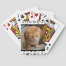 Search for dog paw print playing cards Cat