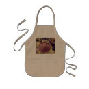 Search for apple trees aprons Apples
